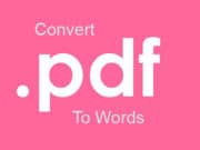 Merubah PDF ke Words