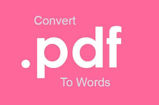 Merubah PDF ke Words